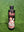 Liquid Sports Chalk